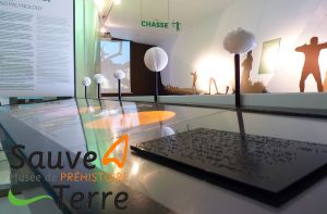 SauveTerre Musée de Préhistoire